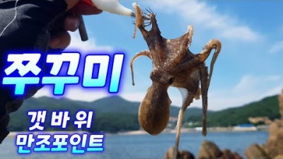 서울근교 인천 소무의도 쭈꾸미낚시 서해안 쭈꾸미낚시 포인트 조황 및 채비정보