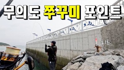 수도권 서해 인천 무의도 쭈꾸미낚시 포인트 채비정보 조황정보