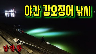 충남 홍성 남당항 갑오징어낚시 포인트 갑오징어 낚시채비 운용방법 추천
